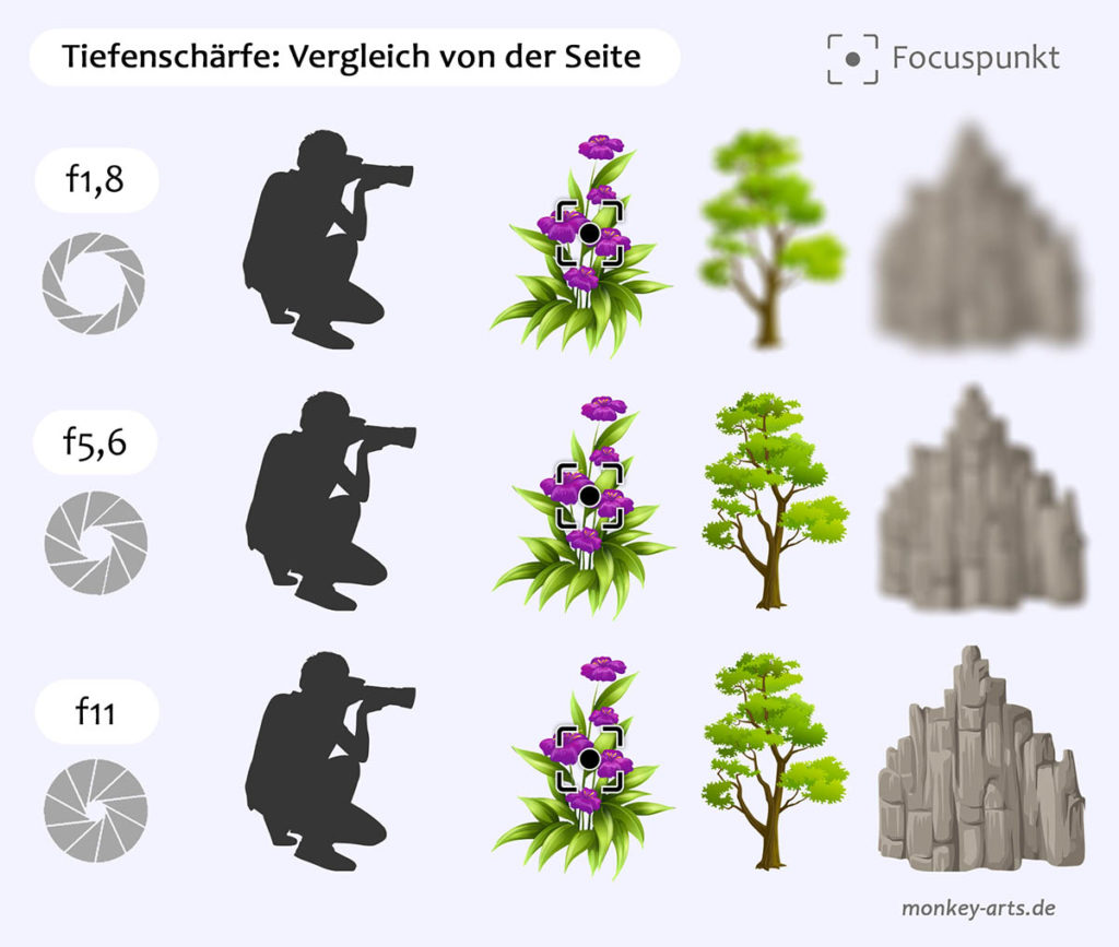 Tiefenschärfe Schärfentiefe Blende Vergleich von der Seite