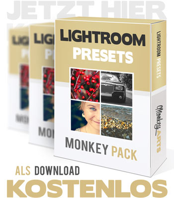 Monkey Arts Lightroom Presets Link