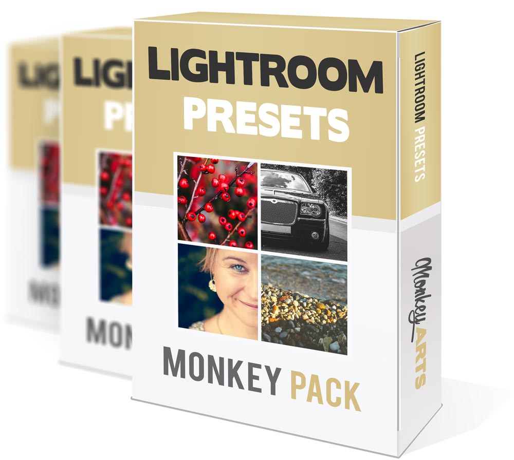 Kostenlose Lightroom Presets Box