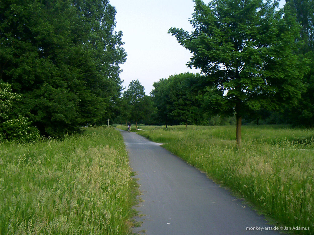 Foto Weg in der Natur